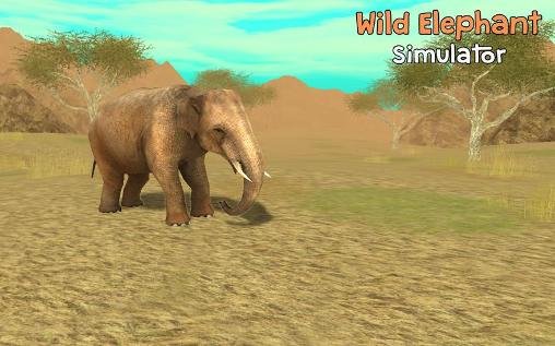 download Wild elephant simulator 3D apk